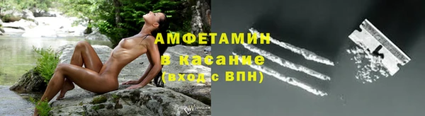 трава Арсеньев
