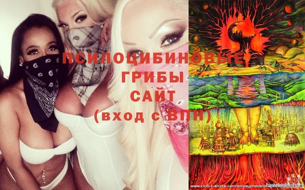 трава Арсеньев