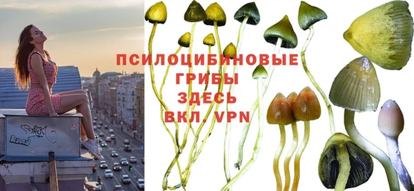 трава Арсеньев