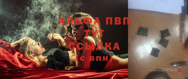 трава Арсеньев