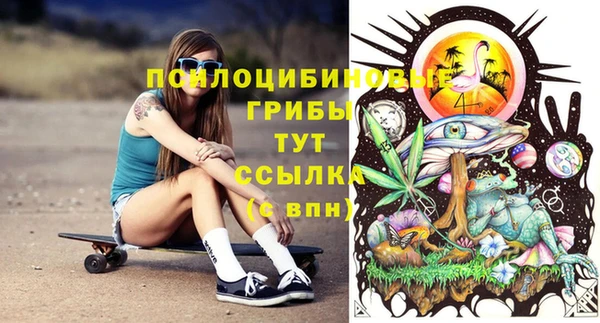 трава Арсеньев