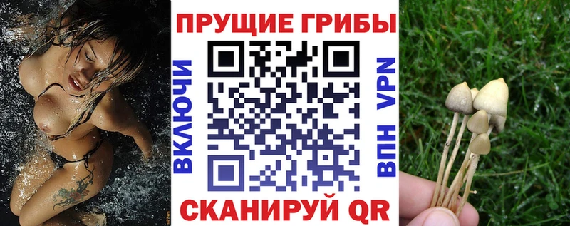 Псилоцибиновые грибы MAGIC MUSHROOMS  Ленск 